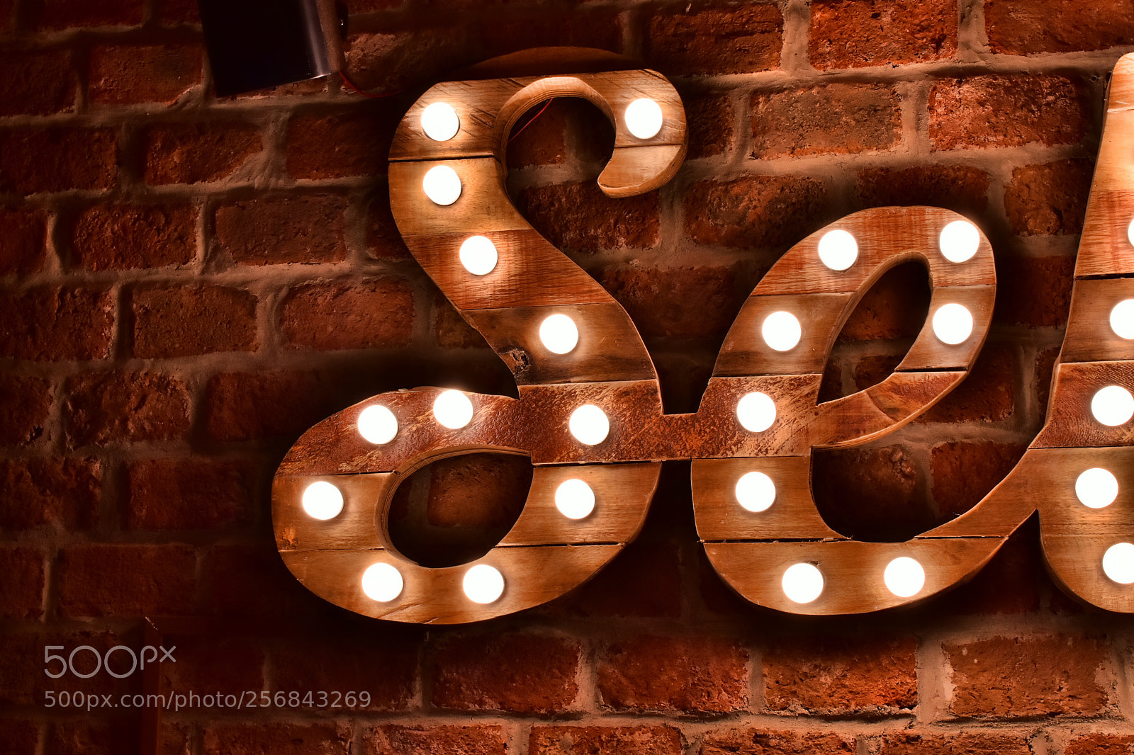 Nikon D5600 sample photo. "se" = be photography