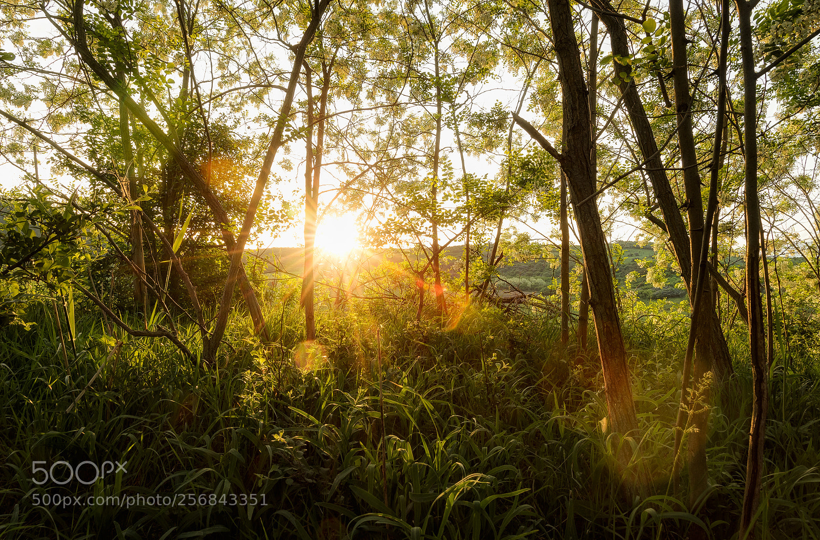 Nikon D7000 sample photo. The sunrise... photography