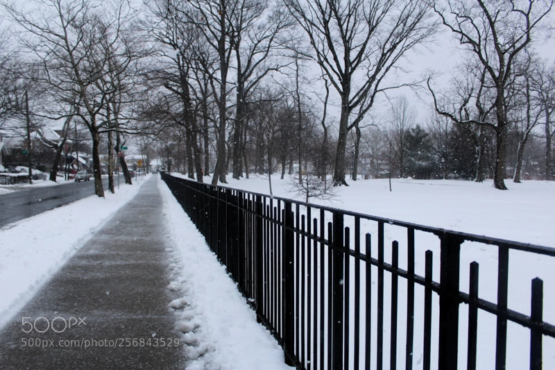 Canon EOS 1200D (EOS Rebel T5 / EOS Kiss X70 / EOS Hi) sample photo. From the snowstorms in photography