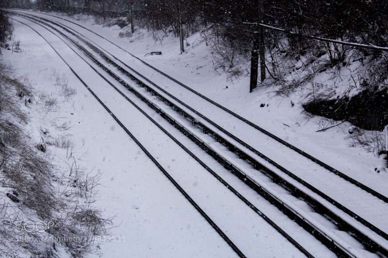 Canon EOS 1200D (EOS Rebel T5 / EOS Kiss X70 / EOS Hi) sample photo. From the snowstorms in photography
