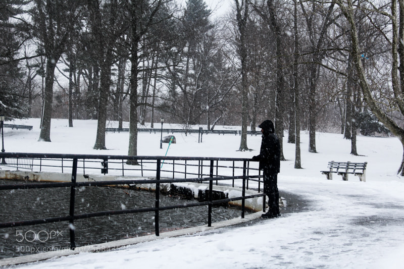 Canon EOS 1200D (EOS Rebel T5 / EOS Kiss X70 / EOS Hi) sample photo. From the snowstorms in photography