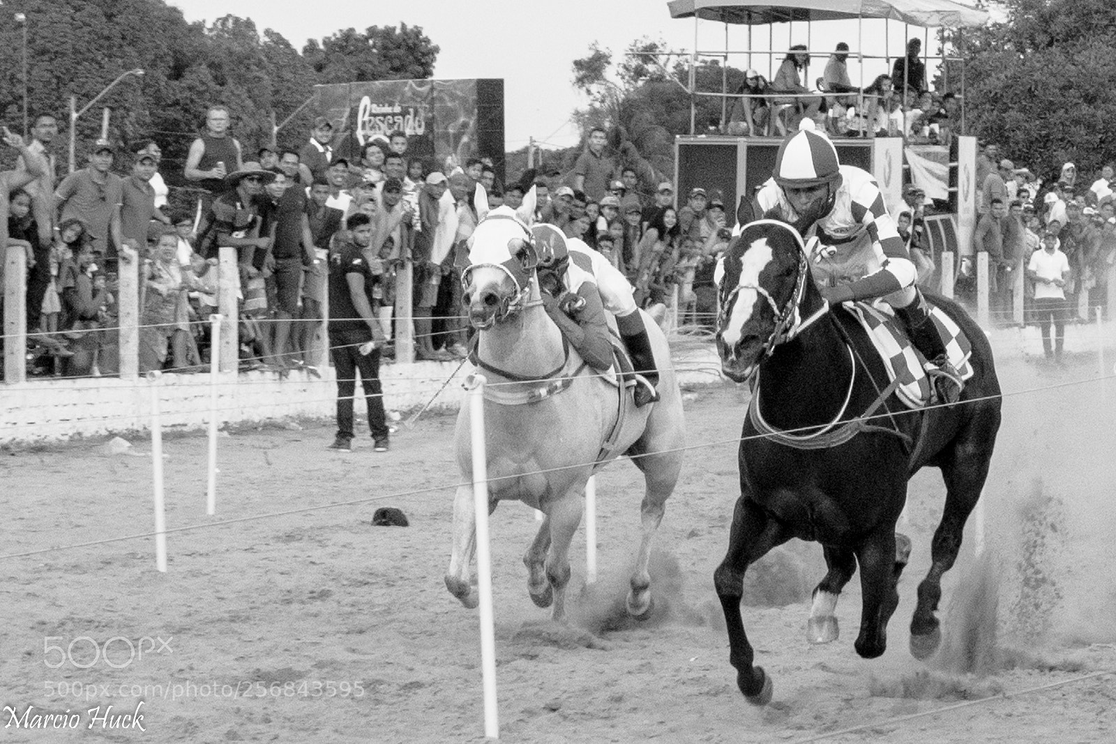 Nikon D7200 sample photo. Cavalos photography