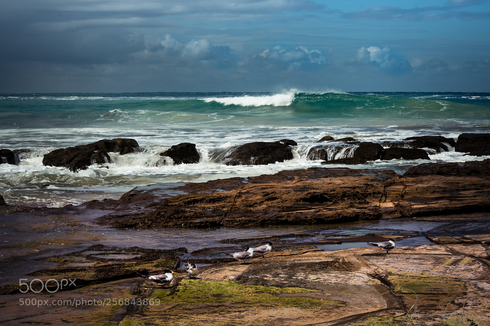 Nikon D750 sample photo. Storm on horizon photography
