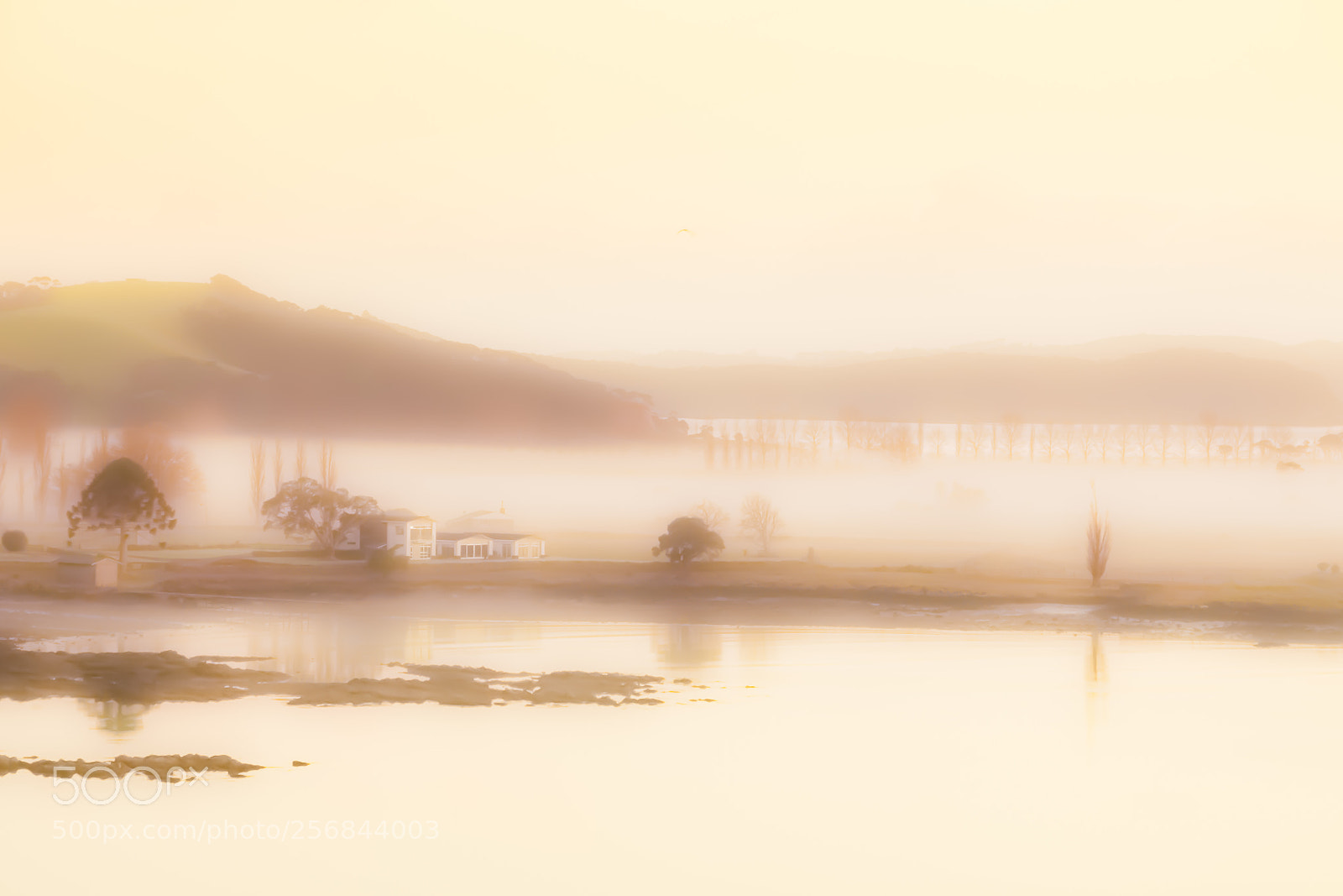 Canon EOS 50D sample photo. Foggy bay of islands photography