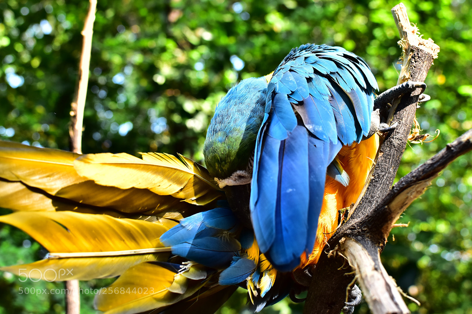 Nikon D5600 sample photo. Time for a bath!  photography