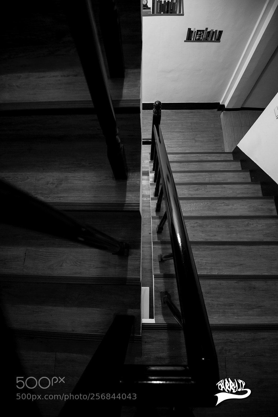 Nikon D3S sample photo. Looper photography