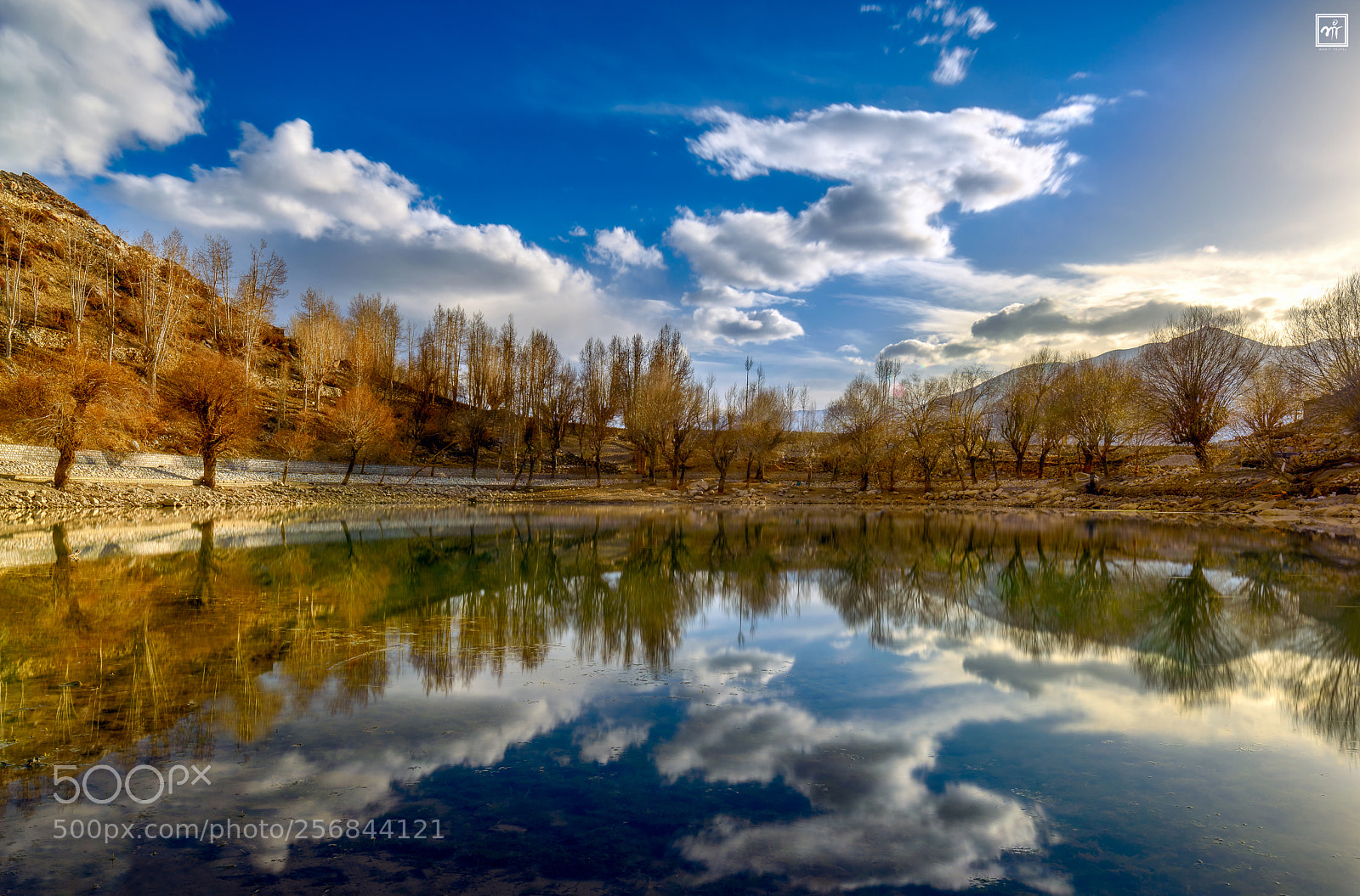 Nikon D750 sample photo. Barren beauty photography