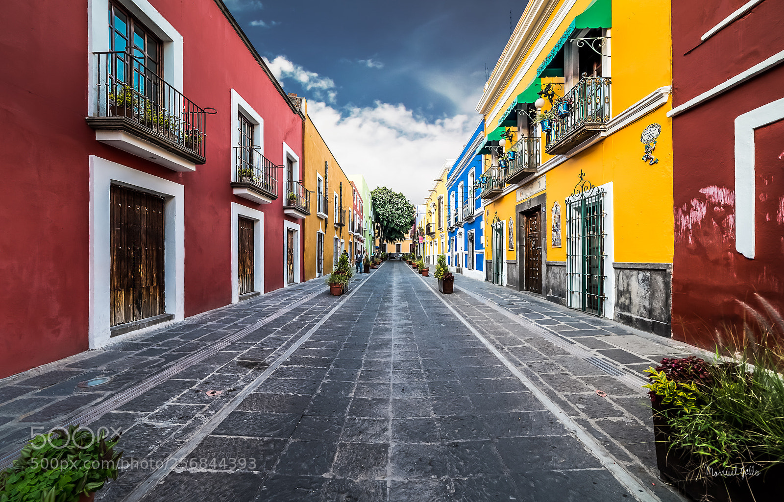 Nikon D750 sample photo. Los sapos street photography
