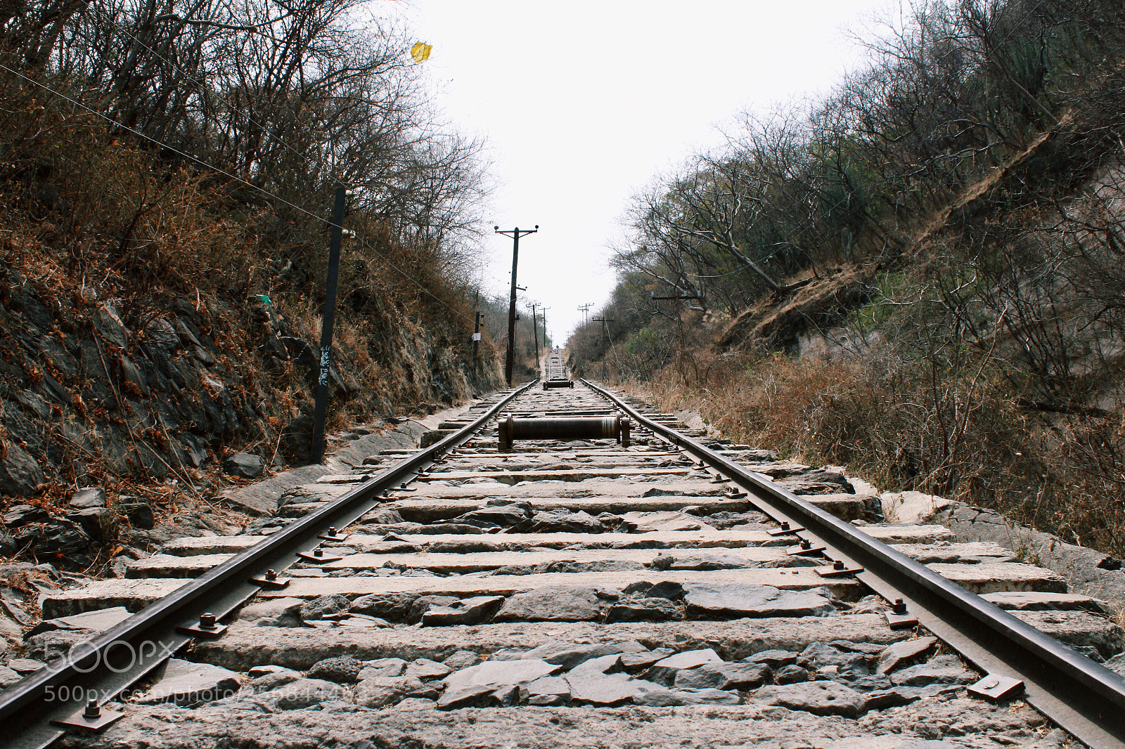 Canon EOS 1300D (EOS Rebel T6 / EOS Kiss X80) sample photo. Railroad photography