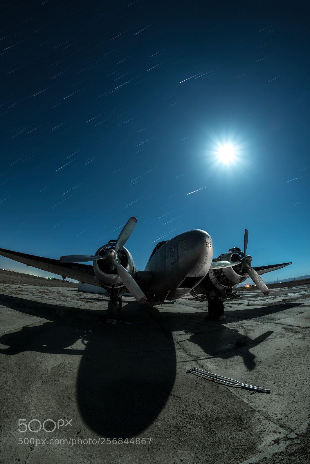 Nikon D750 sample photo. Shadow flight photography
