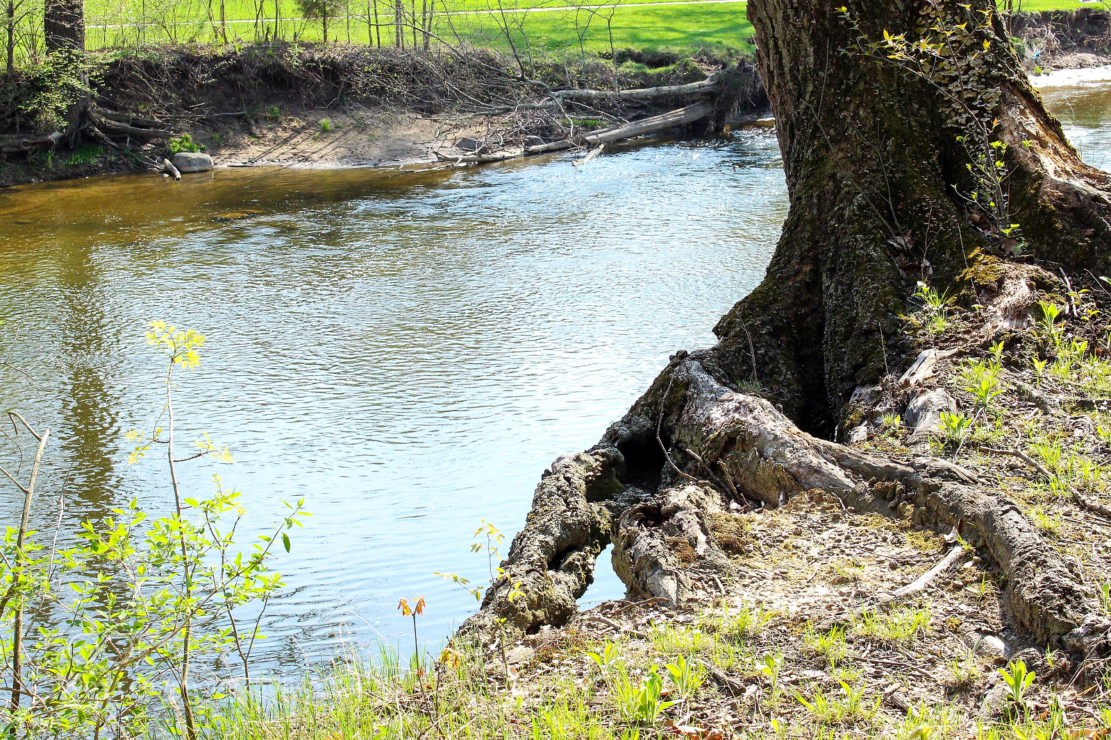 Canon EOS 100D (EOS Rebel SL1 / EOS Kiss X7) sample photo. Cleveland_metroparks photography