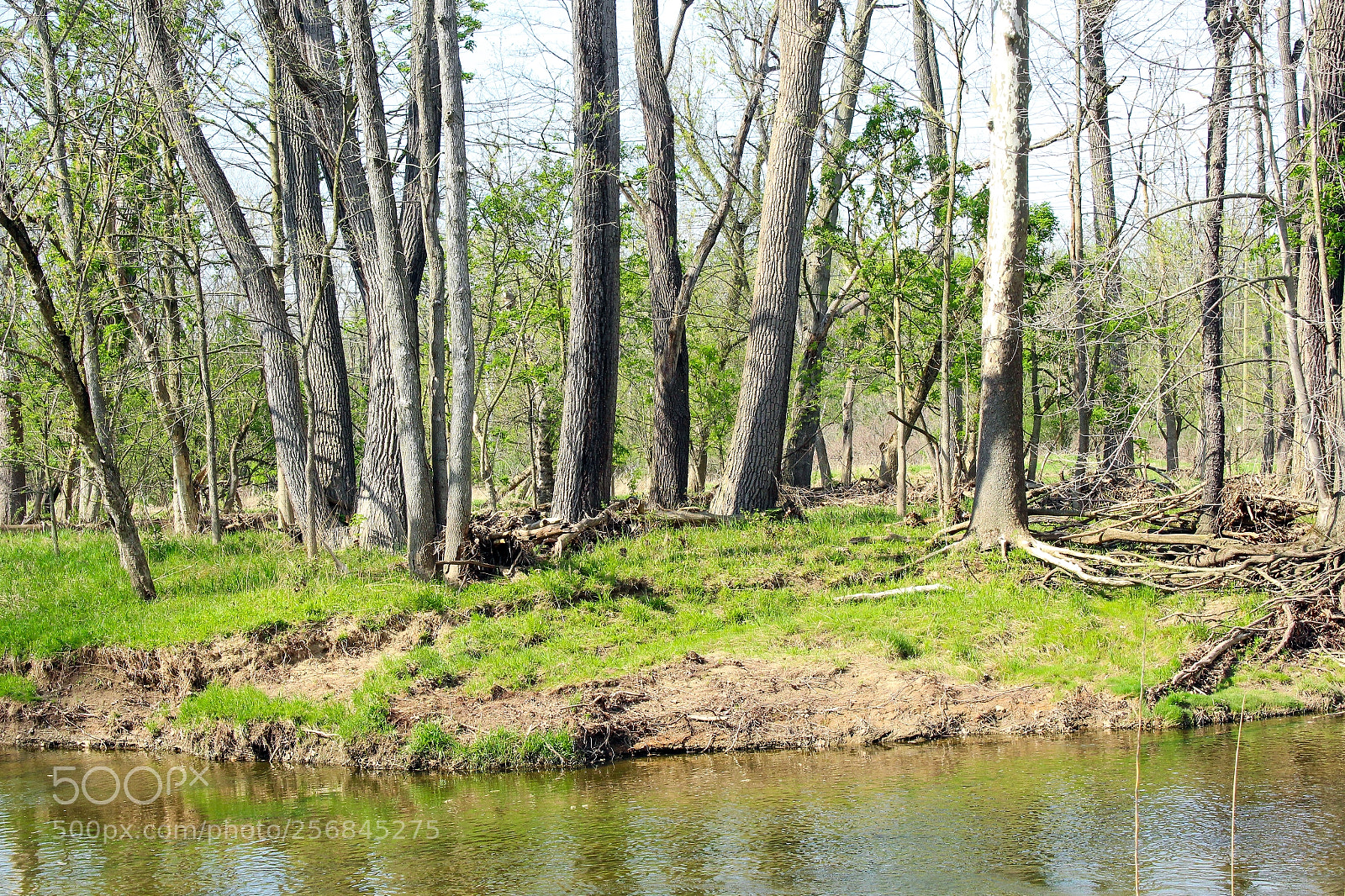 Canon EOS 100D (EOS Rebel SL1 / EOS Kiss X7) sample photo. River_side_metroparks photography
