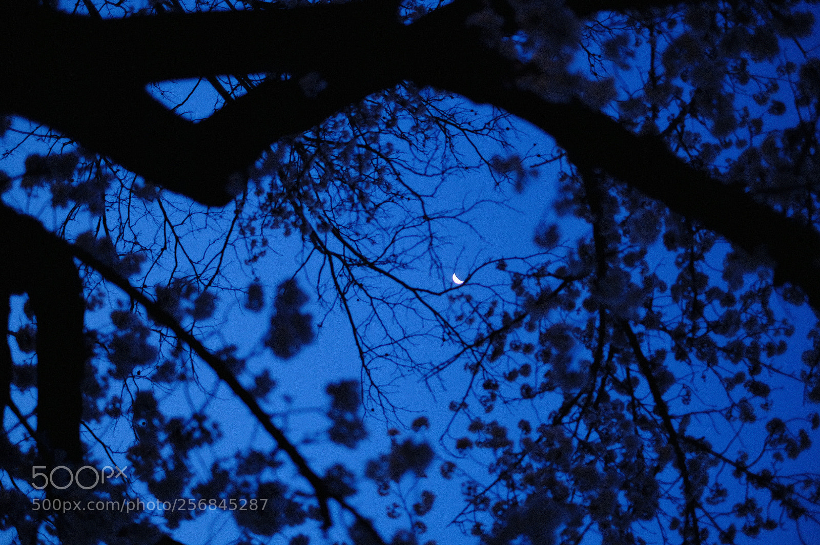 Fujifilm X-T2 sample photo. Dscf photography