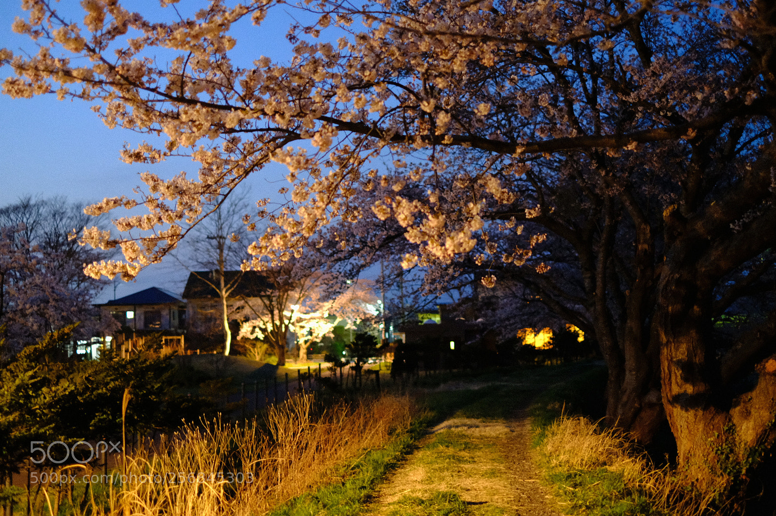 Fujifilm X-T2 sample photo. Dscf photography