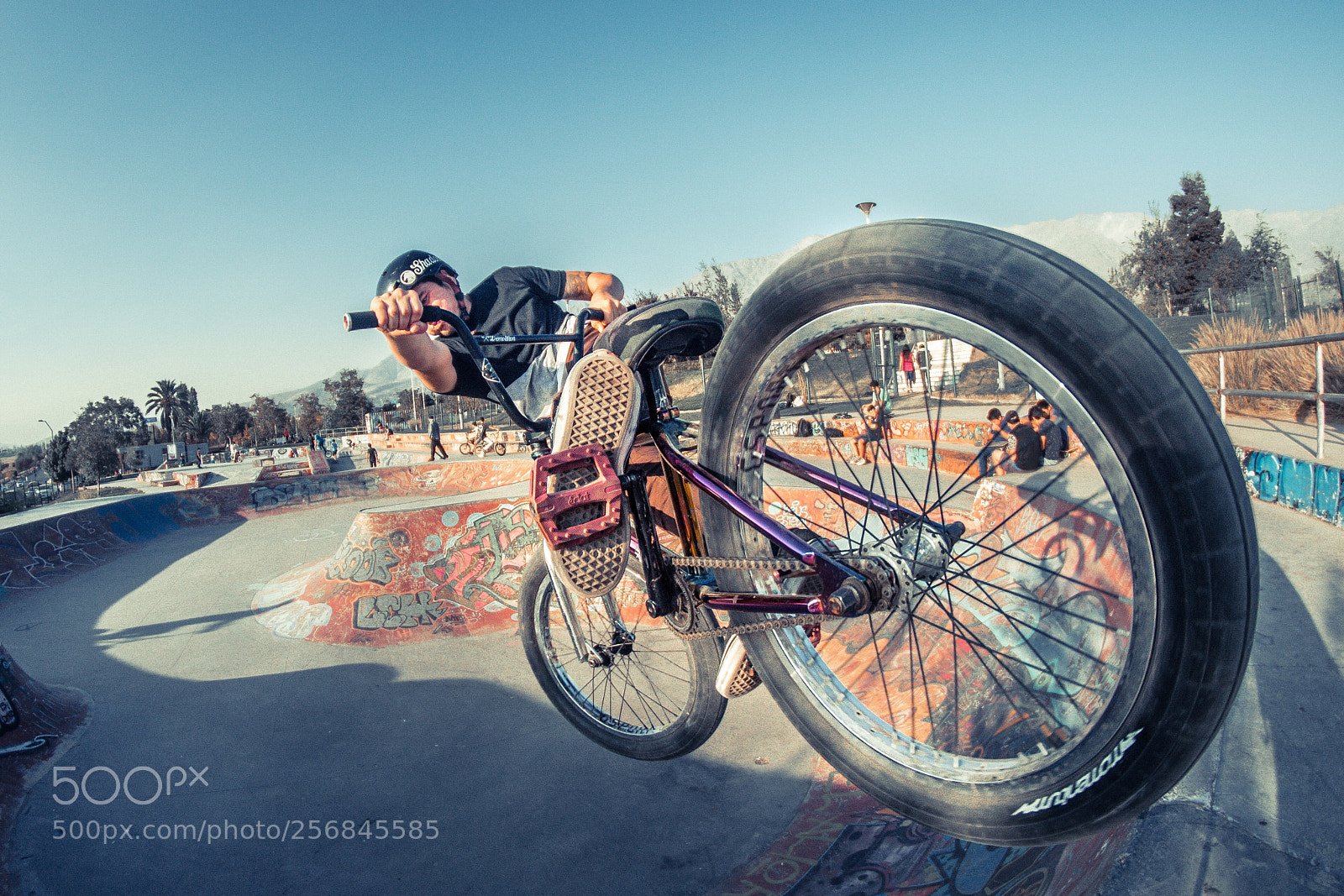Nikon D3100 sample photo. Bmx photography