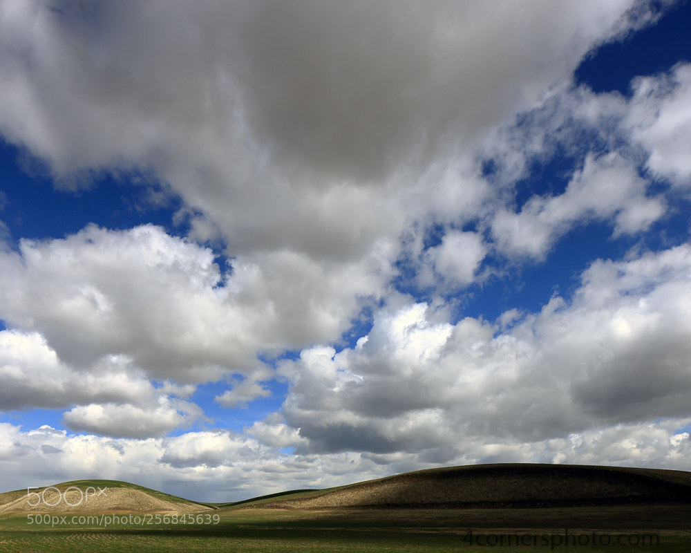 Canon EOS 6D sample photo. Wheat and shadows, washtucna photography