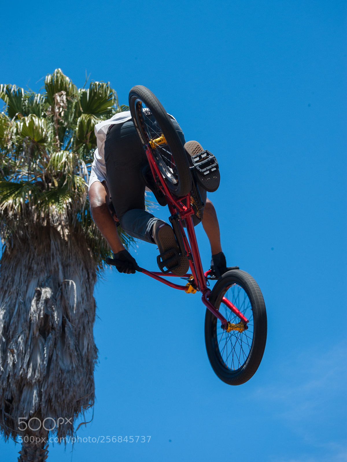 Nikon D3 sample photo. Jumping at  clairemont (2) photography