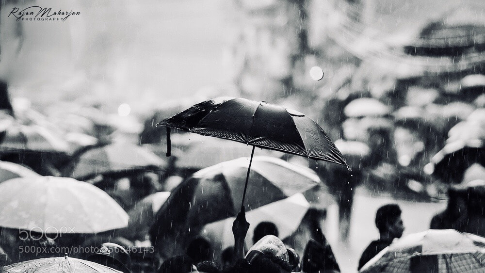 Nikon D750 sample photo. ~ heavy rain & an umbrella ~ photography