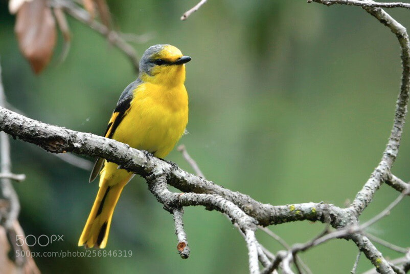 Nikon D500 sample photo. Waiting for you my photography