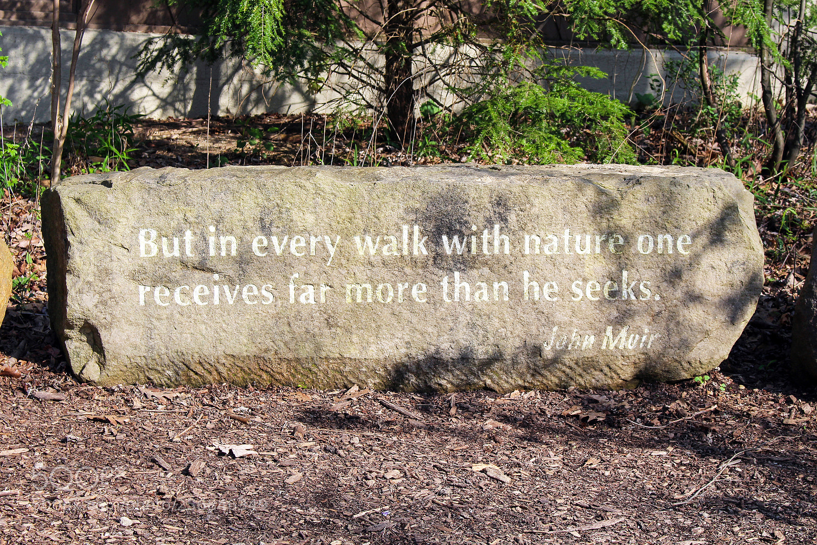 Canon EOS 100D (EOS Rebel SL1 / EOS Kiss X7) sample photo. Nature_quote_metroparks photography
