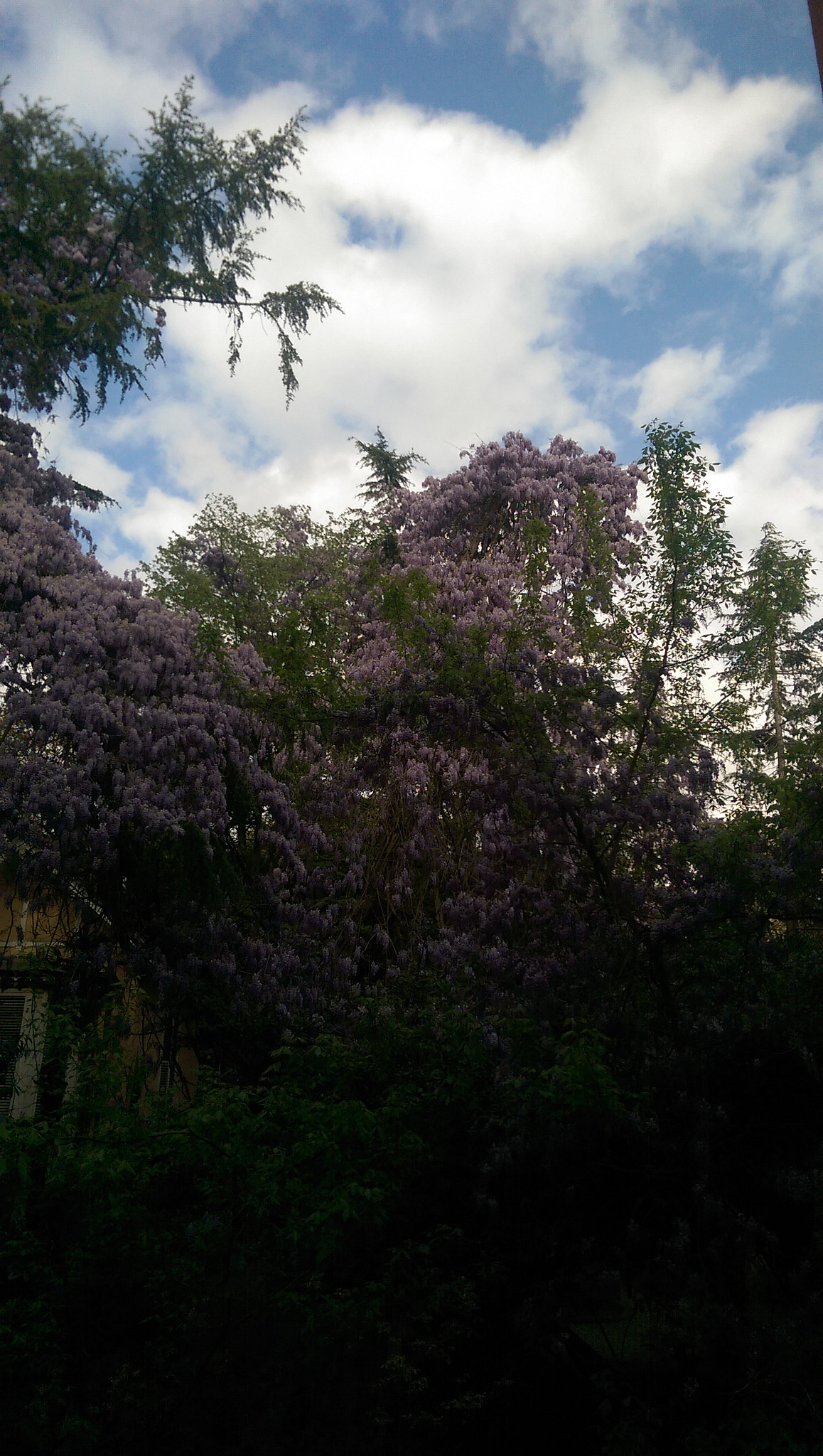 HTC ONE M8 sample photo. The beauty of clouds and nature photography