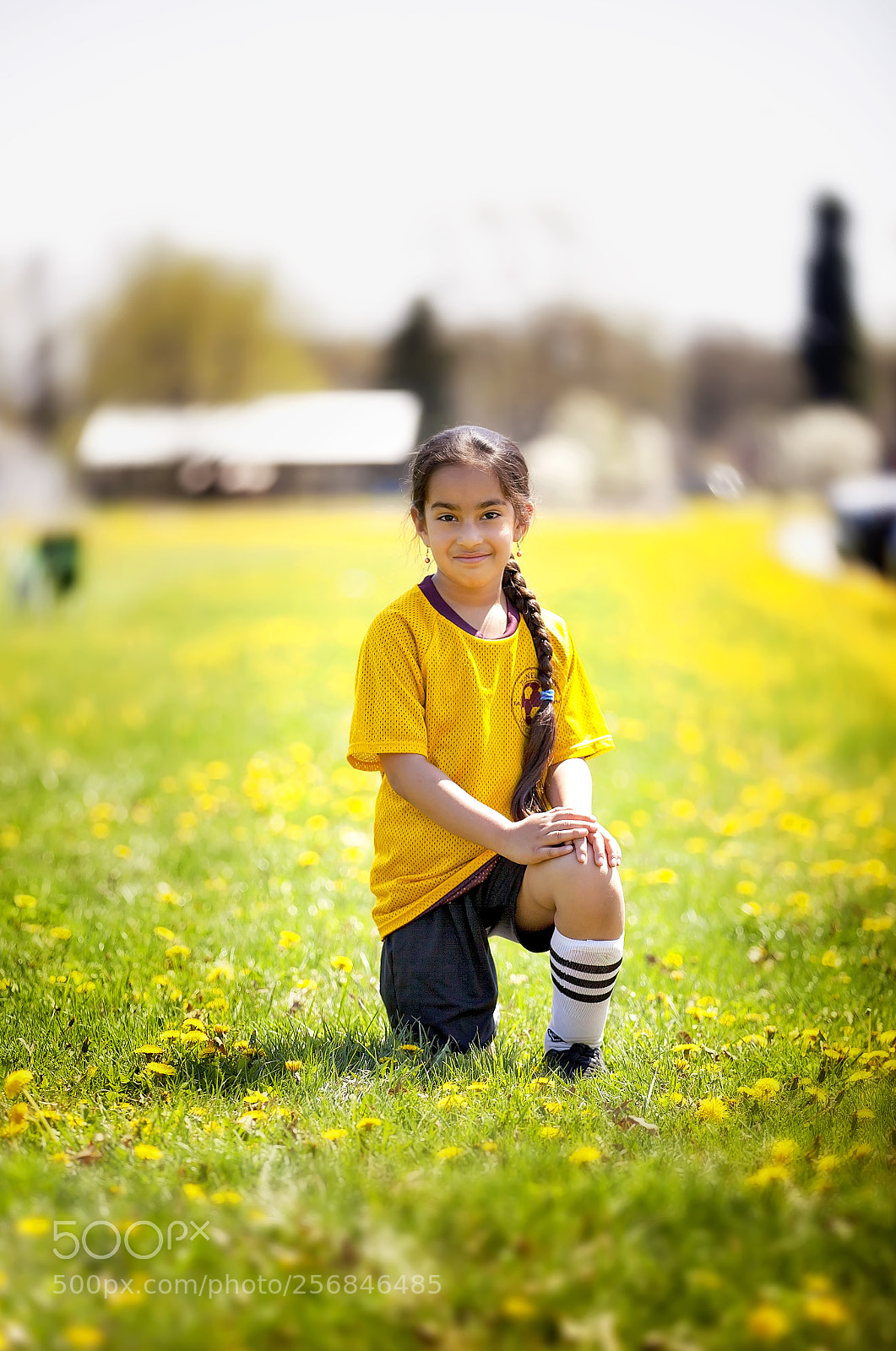 Canon EOS 5D Mark II sample photo. Dandelions were never this photography