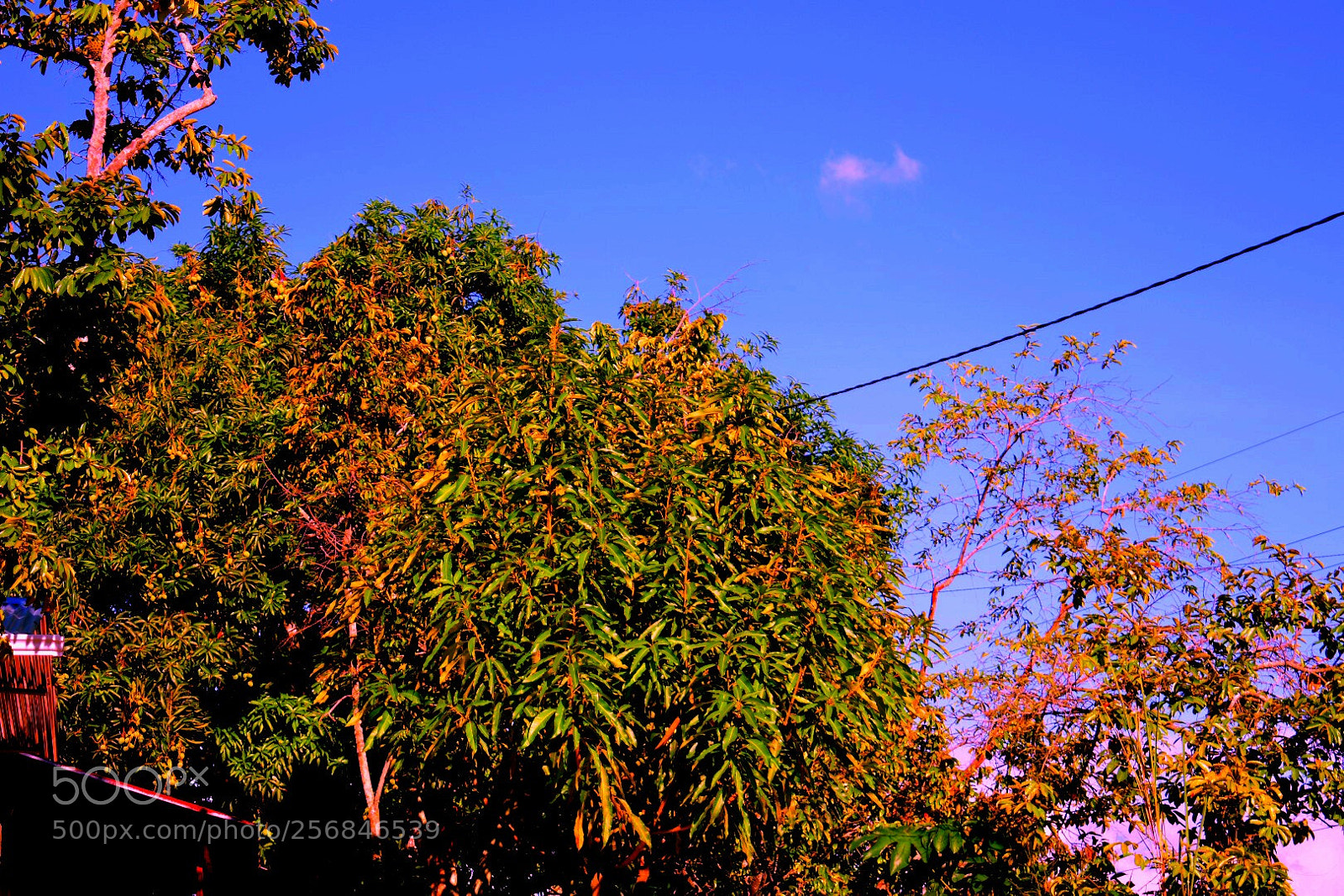 Nikon D3400 sample photo. Untitled photography