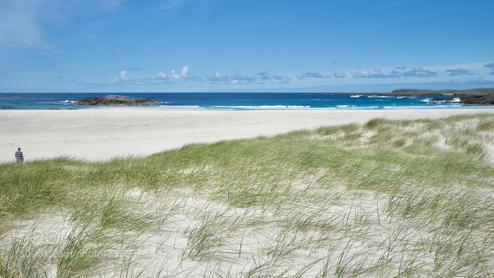 Fujifilm X-Pro1 sample photo. Peace of barra photography
