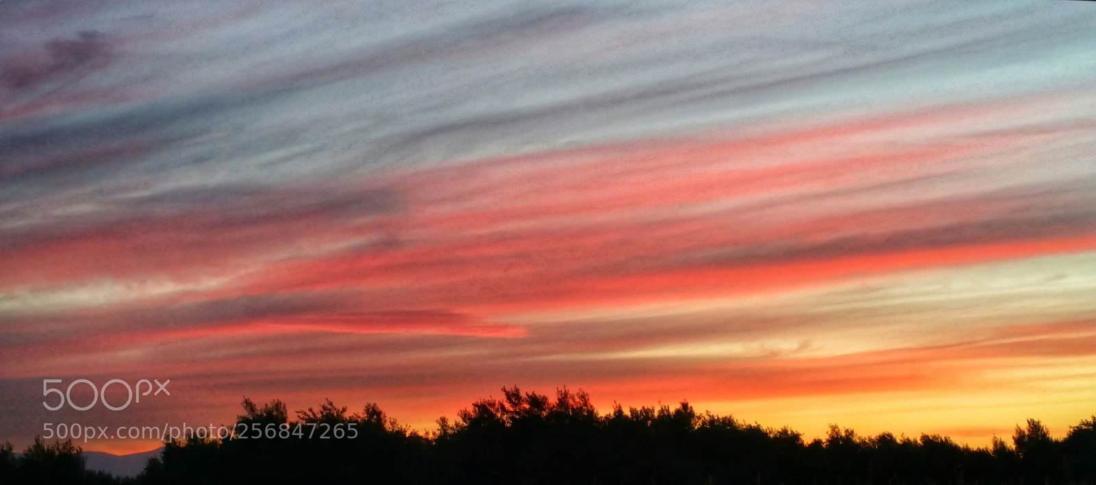 Samsung Galaxy Note4 sample photo. Goodnight and sweet dreams photography