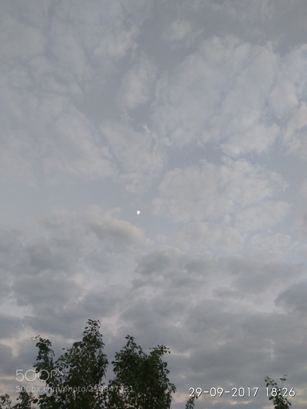 Xiaomi Redmi Note3 sample photo. Untitled photography