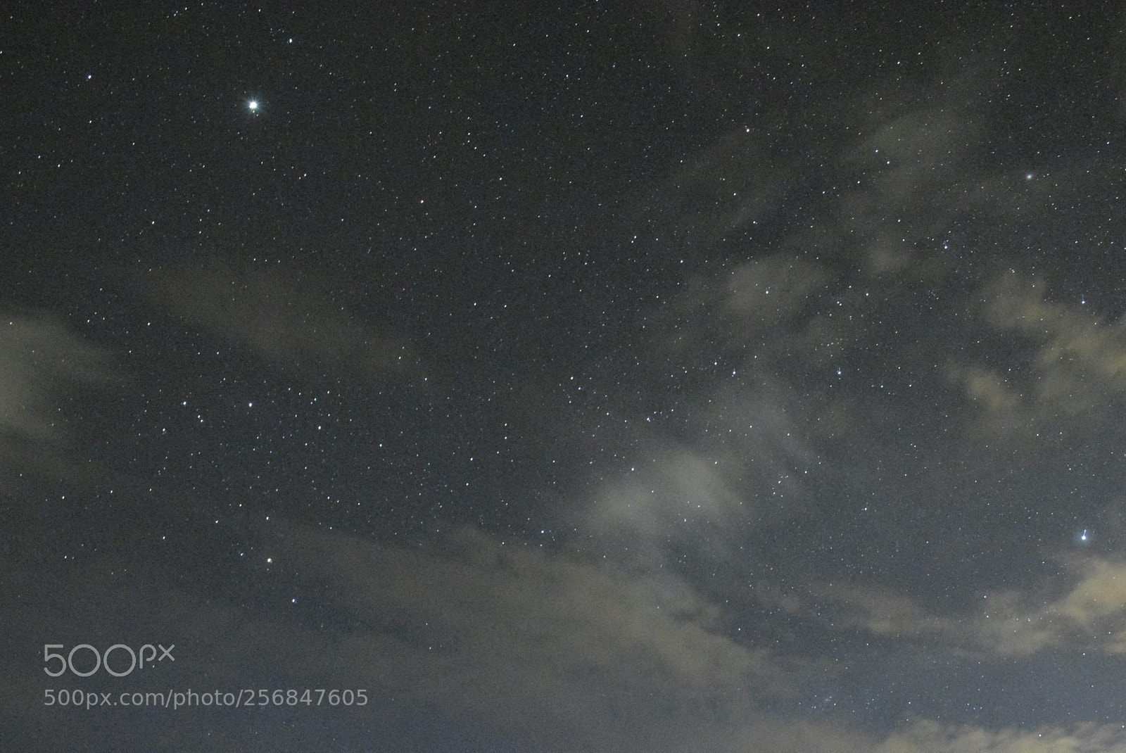 Nikon D3300 sample photo. Por fin photography