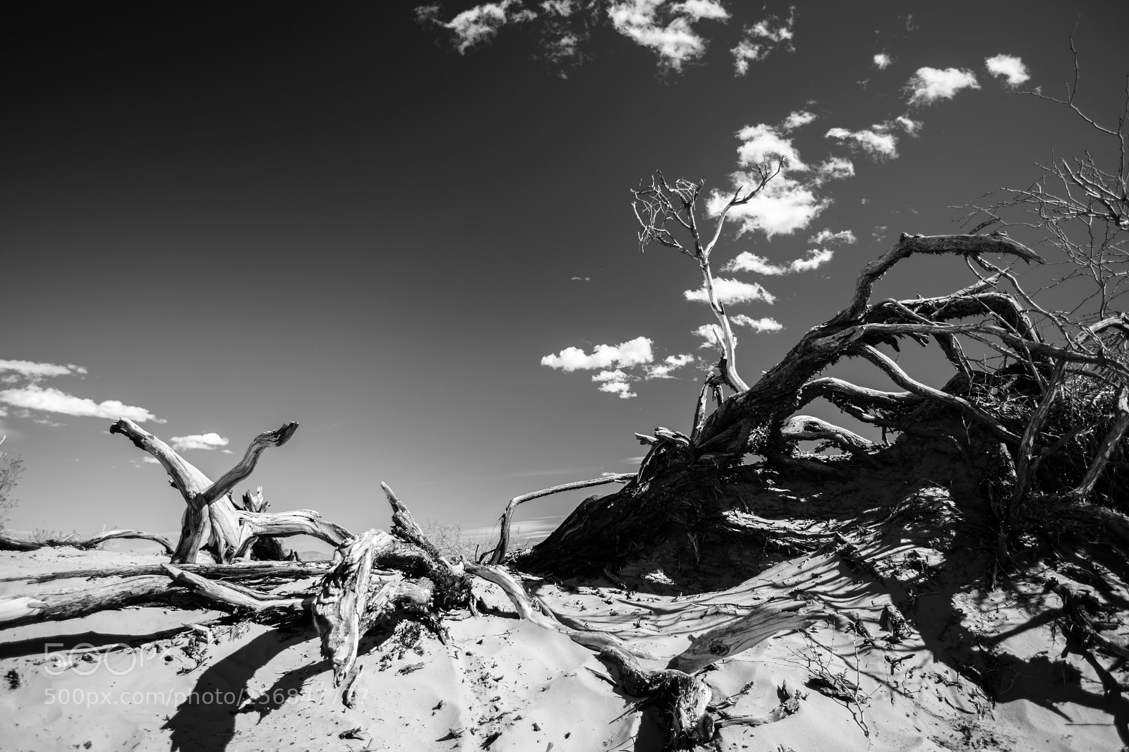 Canon EOS 5D Mark IV sample photo. Mesquite flat sand dunes photography