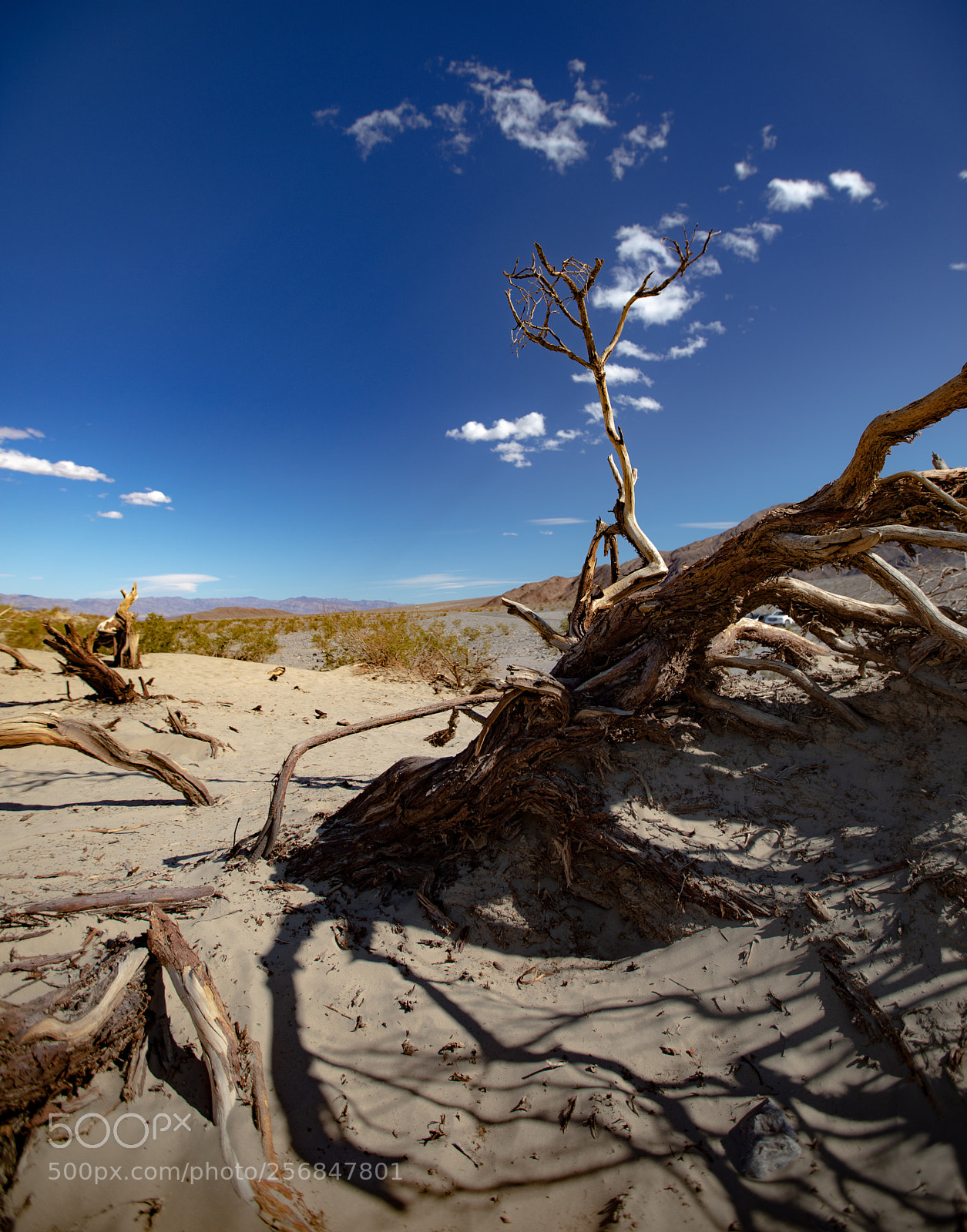 Canon EOS 5D Mark IV sample photo. Mesquite flat sand dunes photography