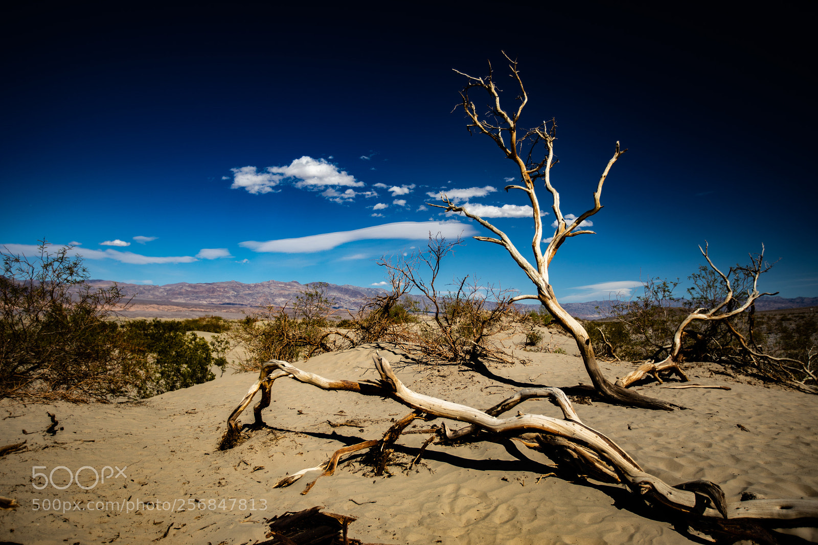 Canon EOS 5D Mark IV sample photo. Mesquite flat sand dunes photography