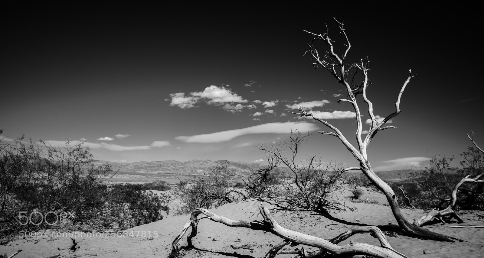 Canon EOS 5D Mark IV sample photo. Mesquite flat sand dunes photography