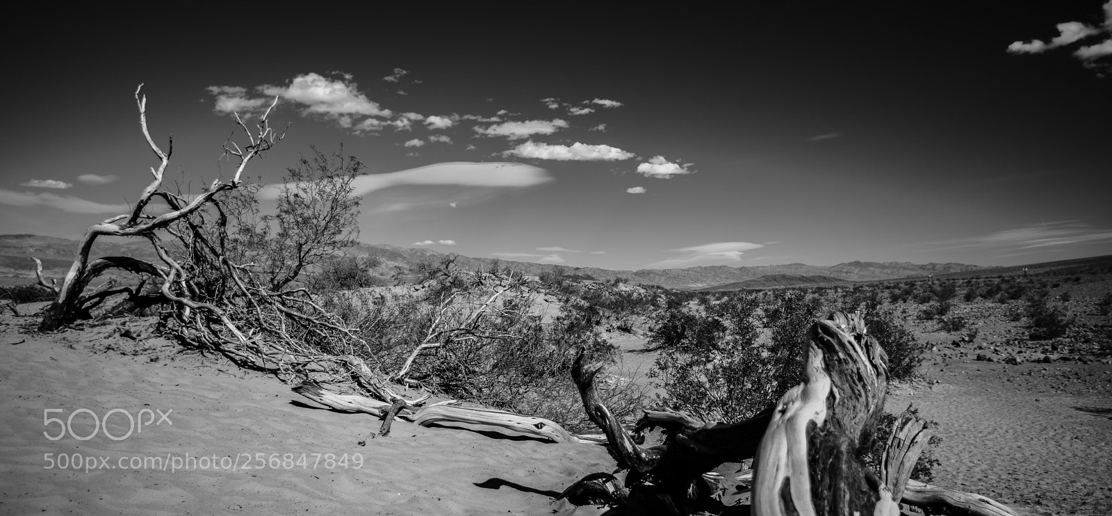 Canon EOS 5D Mark IV sample photo. Mesquite flat sand dunes photography