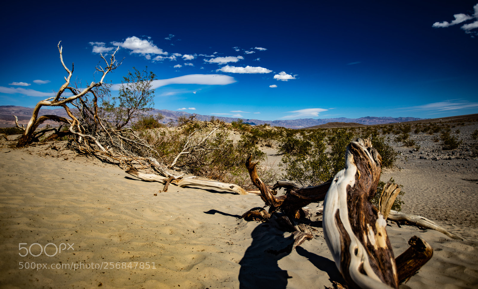 Canon EOS 5D Mark IV sample photo. Mesquite flat sand dunes photography