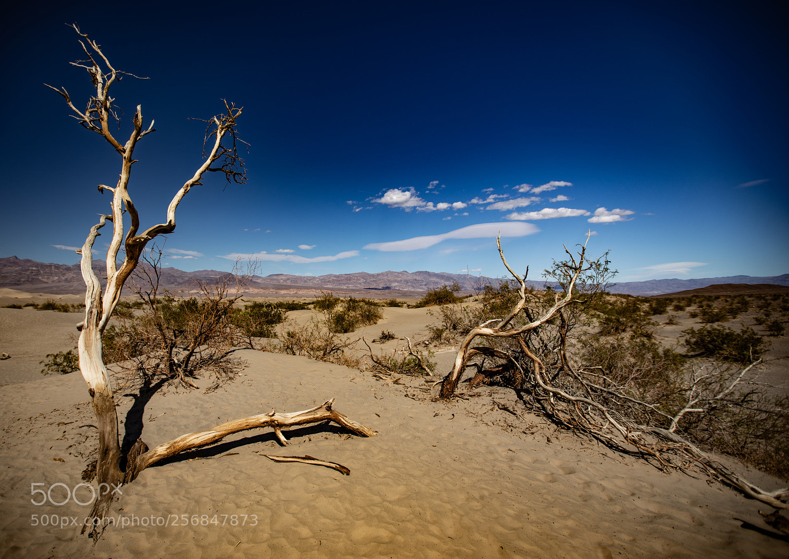 Canon EOS 5D Mark IV sample photo. Mesquite flat sand dunes photography