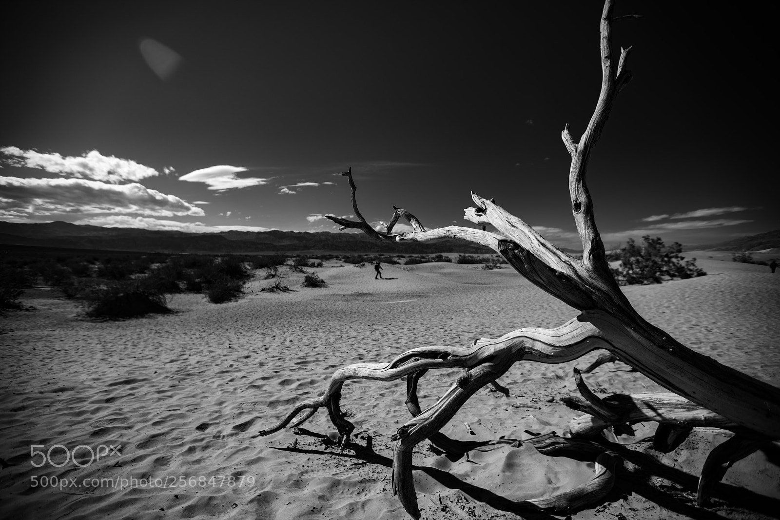 Canon EOS 5D Mark IV sample photo. Mesquite flat sand dunes photography