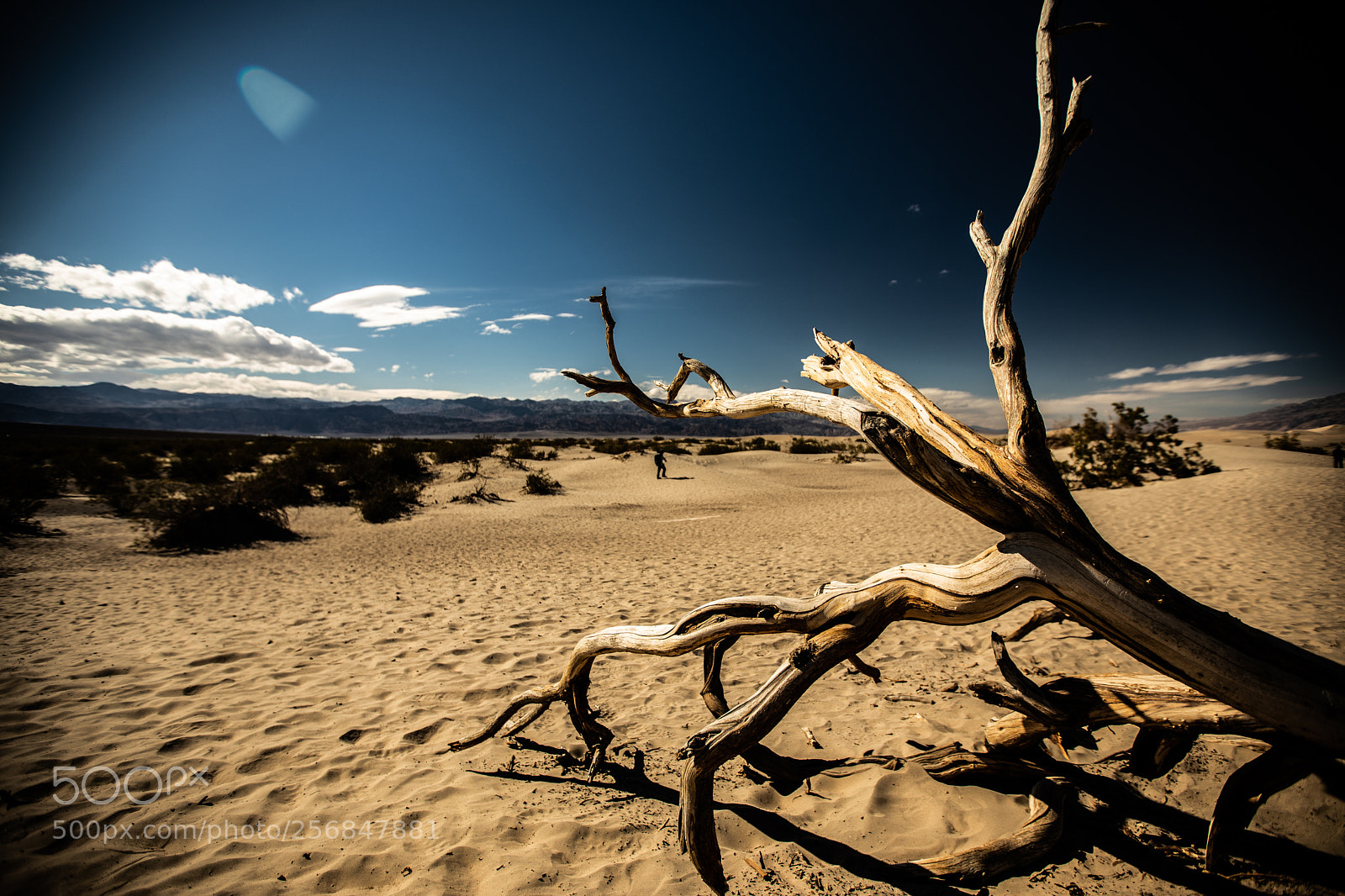 Canon EOS 5D Mark IV sample photo. Mesquite flat sand dunes photography