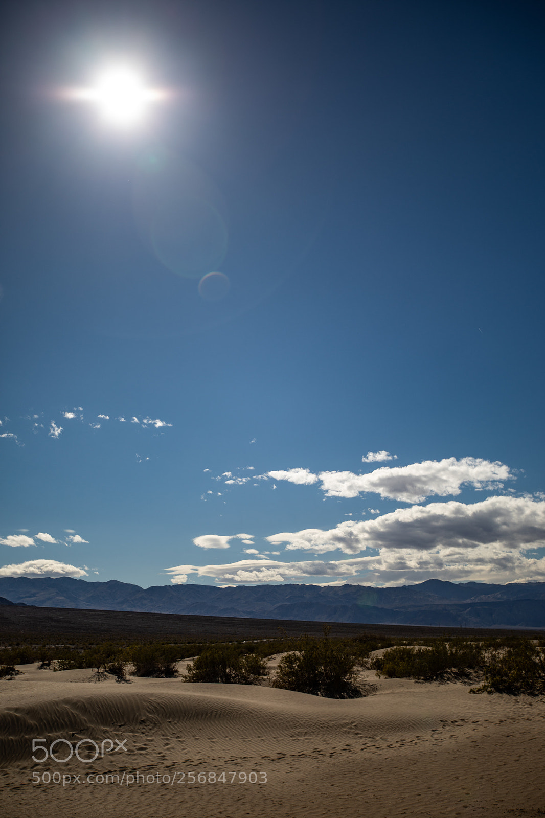 Canon EOS 5D Mark IV sample photo. Mesquite flat sand dunes photography