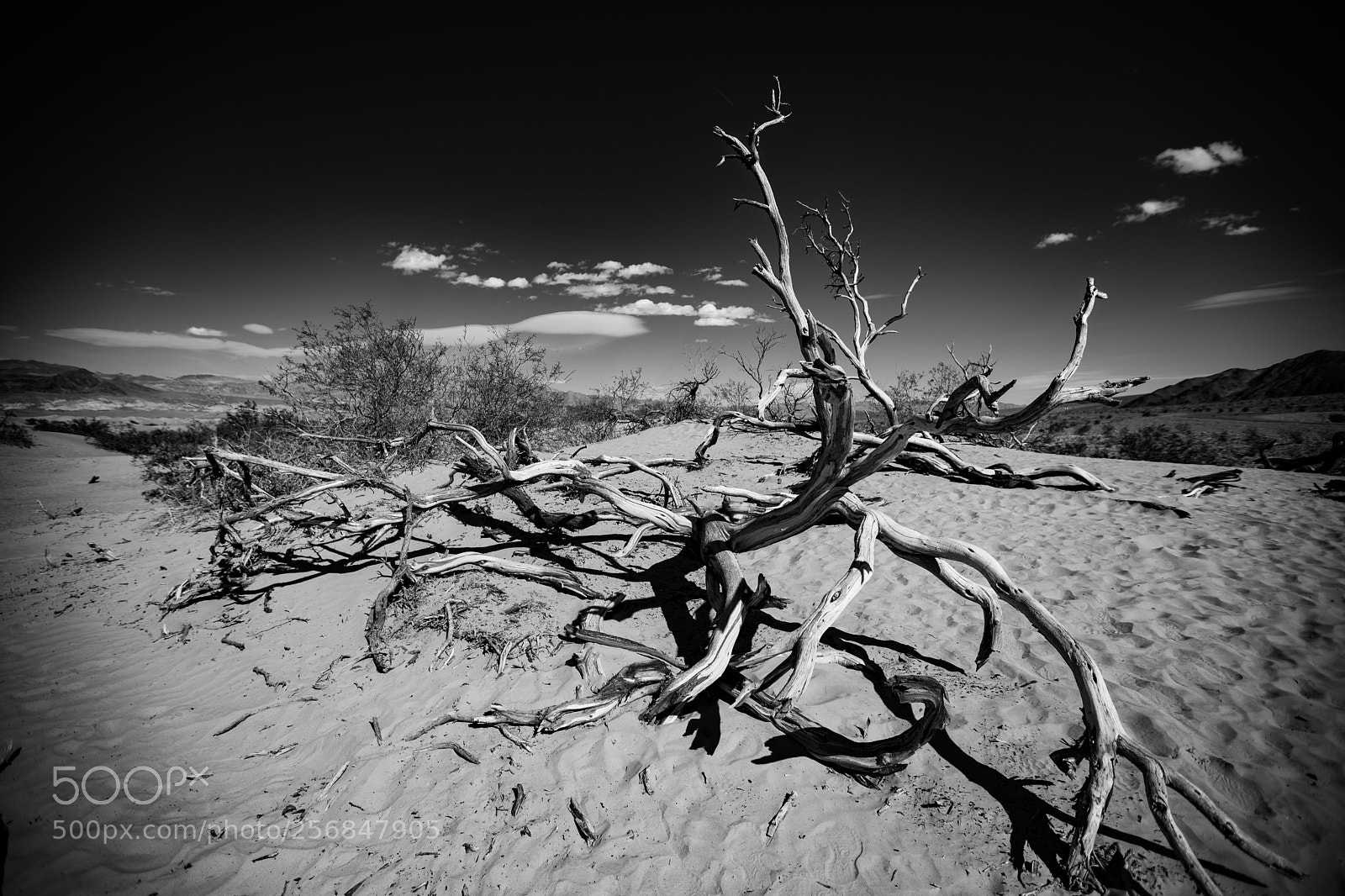 Canon EOS 5D Mark IV sample photo. Mesquite flat sand dunes photography
