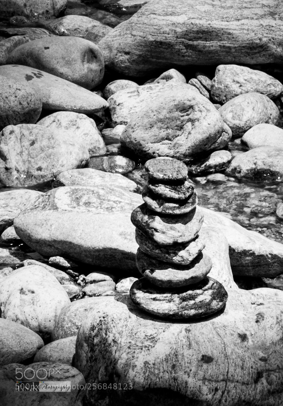 Nikon D800 sample photo. Sikkim photography