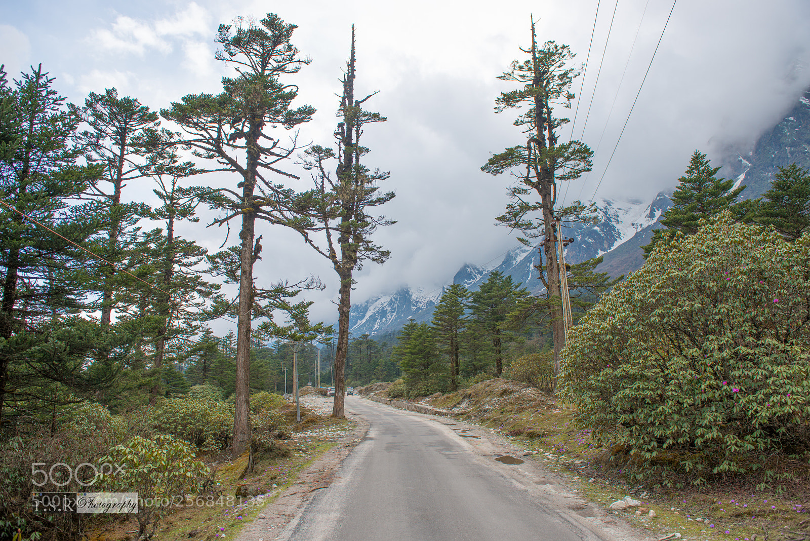 Nikon D800 sample photo. Sikkim photography