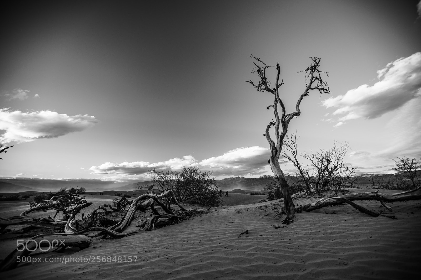 Canon EOS 5D Mark IV sample photo. Mesquite flat sand dunes photography