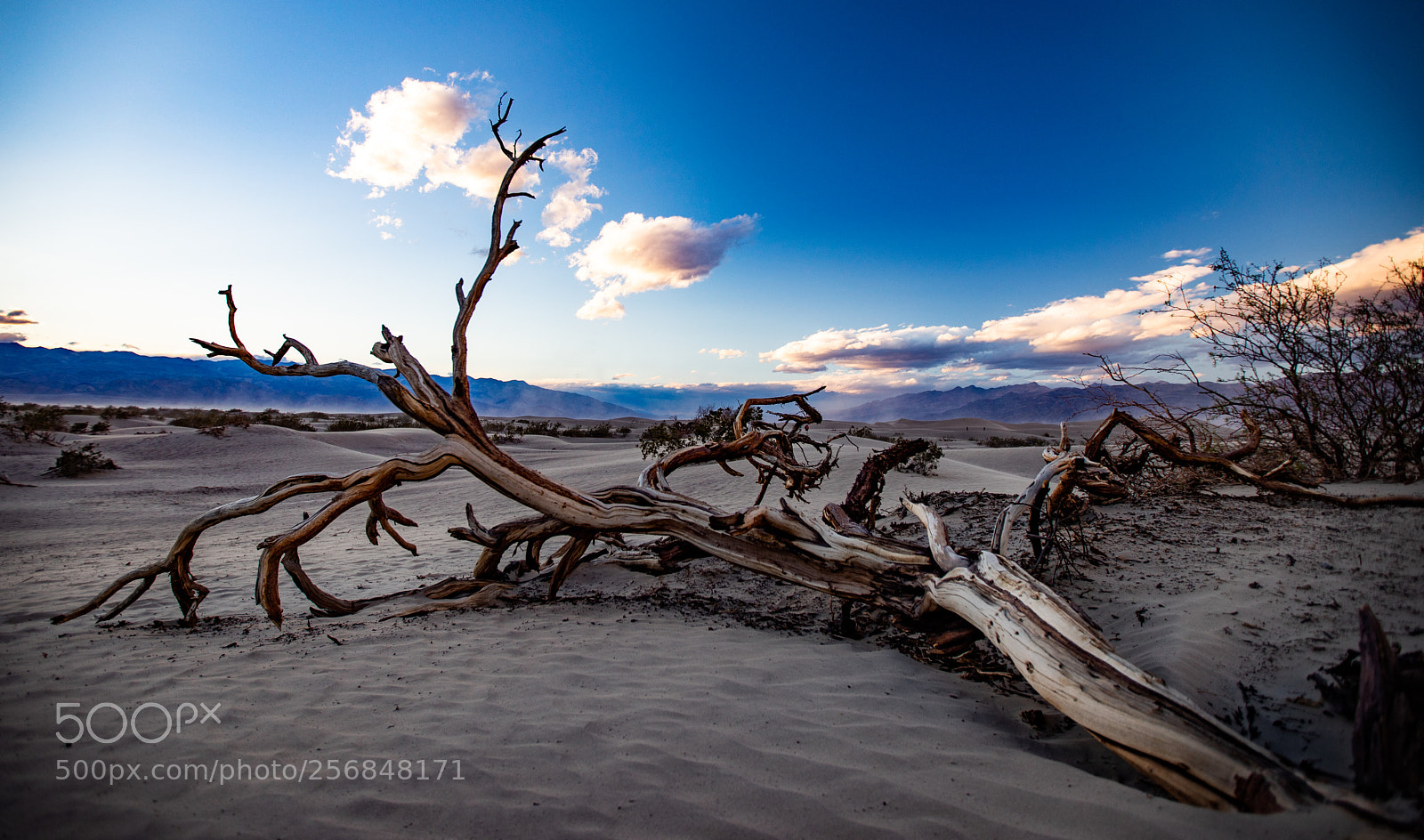 Canon EOS 5D Mark IV sample photo. Mesquite flat sand dunes photography