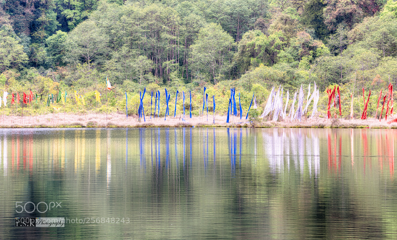 Nikon D800 sample photo. Sikkim h photography