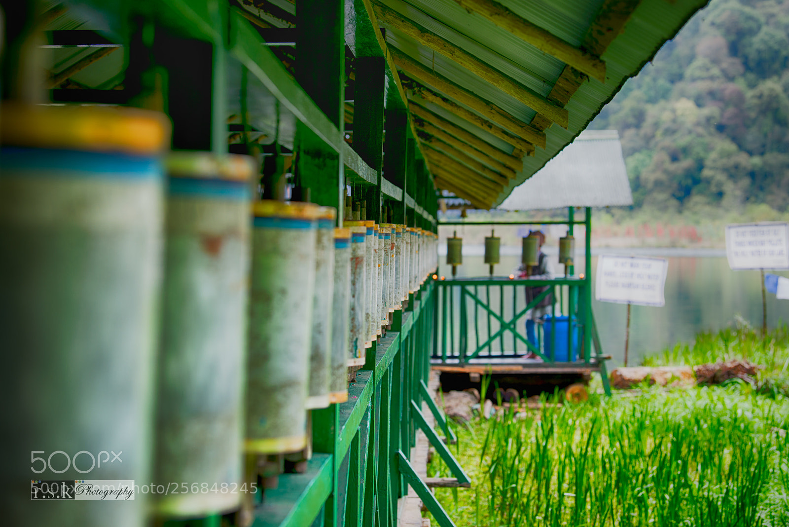 Nikon D800 sample photo. Sikkim h photography
