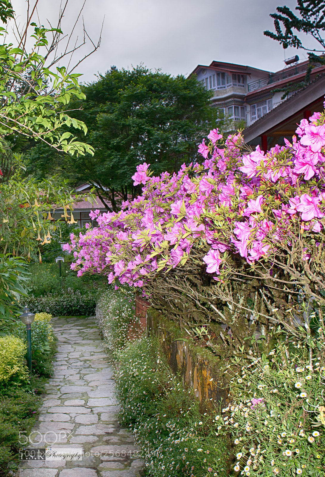 Nikon D800 sample photo. Sikkim h photography