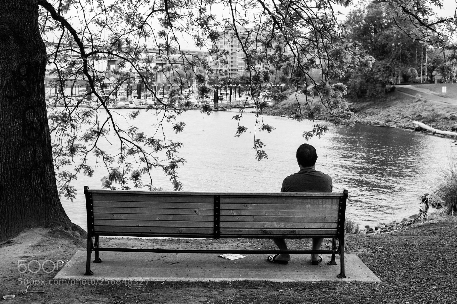 Canon EOS 60D sample photo. Thought provoking  photography